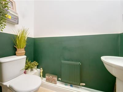 Picture 8